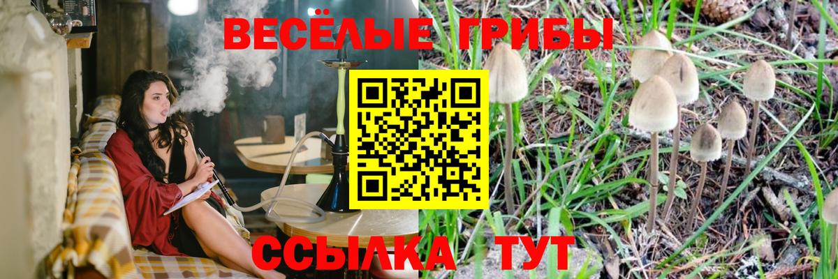 Псилоцибиновые грибы мицелий Ржев