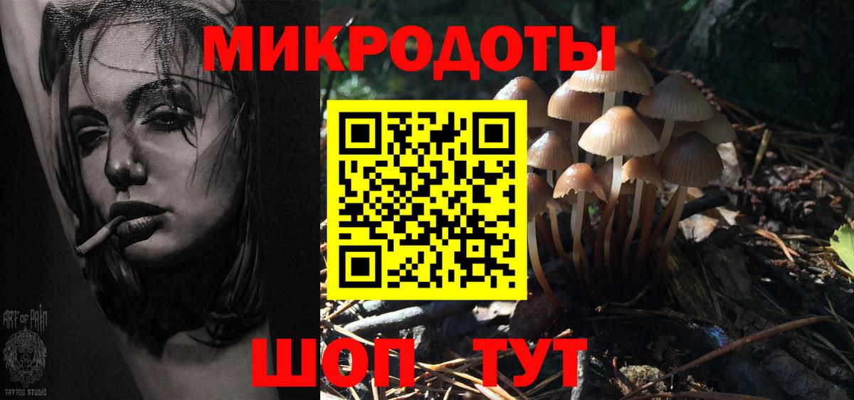 Ржев  Псилоцибиновые грибы Psilocybe  Вход с VPN 